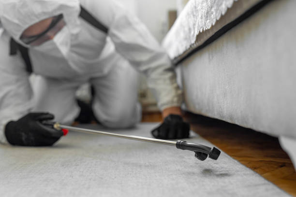 Professional Cockroach Control technician working in North River Shores, FL
