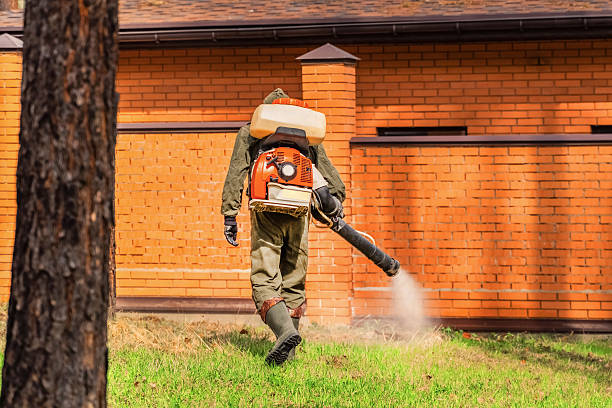 Trusted Cockroach Control service in North River Shores, FL - Nex Pest Control